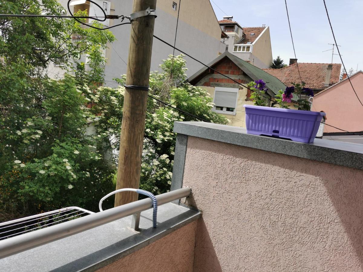 Apartmani Milica Крушевац Екстериор снимка